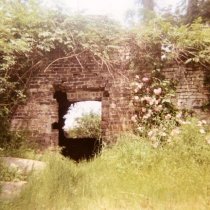 "Hawthorne", hole in wall